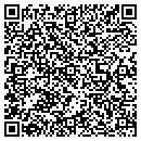 QR code with Cybercave Inc contacts