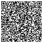 QR code with Professional Web Design contacts