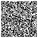 QR code with Primary Electric contacts