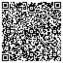 QR code with Carpet Care Systems contacts