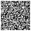 QR code with Pyramid Books Inc contacts