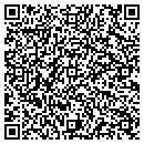 QR code with Pump It Up Party contacts