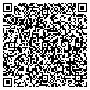 QR code with Concepts In Greenery contacts