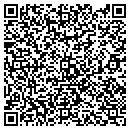 QR code with Professional Detailing contacts