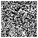 QR code with Princess contacts