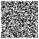 QR code with Carpet Gallery contacts