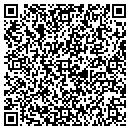 QR code with Big Lake Electric Inc contacts