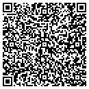 QR code with Premier Paint Works contacts