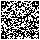 QR code with Carver Geologic contacts