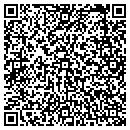 QR code with Practically Pikasso contacts
