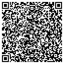QR code with Pyke Mechanical Inc contacts