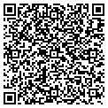 QR code with Olvico contacts