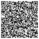 QR code with Bluevault LLC contacts