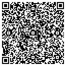 QR code with Carleton Agency Inc contacts