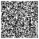 QR code with A N S Travel contacts