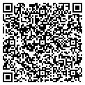 QR code with Cygner contacts
