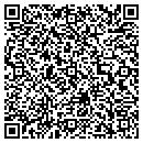 QR code with Precision Art contacts