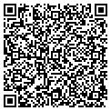 QR code with Bflp contacts