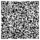 QR code with Celerit Technologies contacts