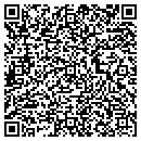 QR code with Pumpworks Inc contacts