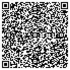 QR code with Pulaski Heights Lodge 673 contacts