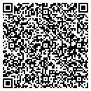 QR code with Carroll & Sons Inc contacts