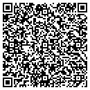 QR code with Precision Accessories contacts