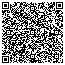 QR code with Pulidos Automotive contacts
