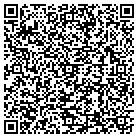 QR code with Pulaski Investment Corp contacts