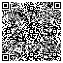 QR code with Castros Drywall Inc contacts