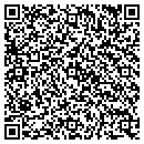 QR code with Public Storage contacts