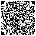 QR code with Belfor contacts