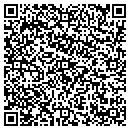 QR code with PSN Properties Inc contacts