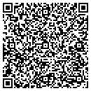 QR code with Pro Hr Staffing contacts