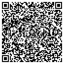QR code with Blue Global Travel contacts