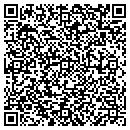 QR code with Punky Trucking contacts