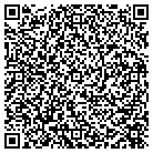 QR code with Blue Rock Solutions Inc contacts