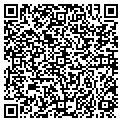 QR code with Amsouth contacts