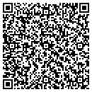 QR code with Chan Singh CPA Inc contacts
