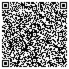 QR code with Pulse Aerospace, LLC contacts