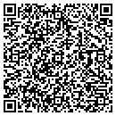 QR code with Premier Bank contacts