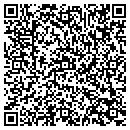 QR code with Colt Construction Corp contacts