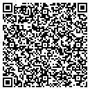 QR code with Cochise Insurance contacts