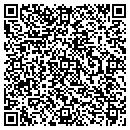 QR code with Carl Dunn Plastering contacts