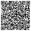 QR code with Pulsar contacts