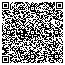 QR code with Pyramid Electronics contacts