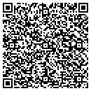 QR code with Chaney Chemical Inc contacts