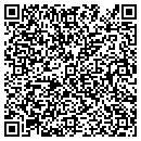 QR code with Project One contacts