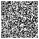 QR code with Briar Electric Inc contacts