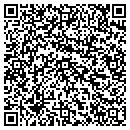 QR code with Premium Carpet Inc contacts